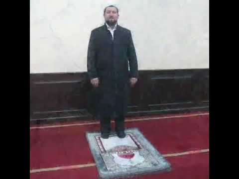 Video: O'zingizni Qanday Qilib Sajda Qilish Kerak