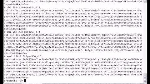 Basic Configuration of Linux Load Balancer Urdu CBT Training Video on CentOS / RedHat Linux