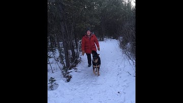 UDL in 15 Minutes with audio descriptions - Carolee Clyne