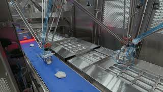 MULTIVAC Automated Full Line Solution for Packaging Cod Fish Fillets - Robotic Loading Portal