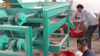 peanut sorting grading machine wendy@machinehall.com