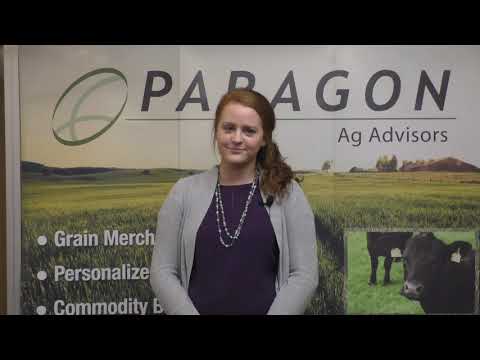 Coronavirus Concerns Call to Action - video from Paragon Investments