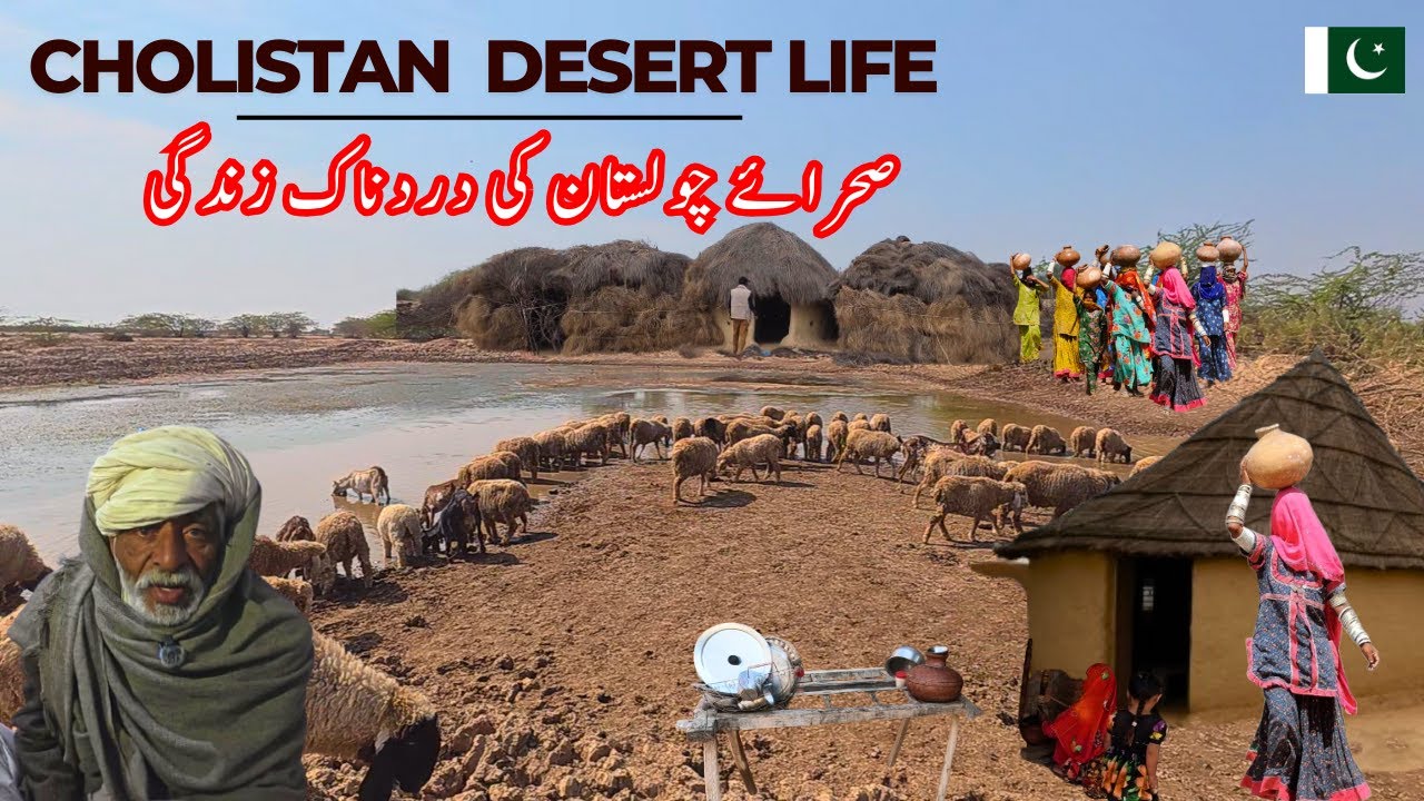 The Painful life of the Cholistan Desert | Cholistan Desert life in Pakistan Tourism