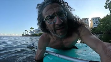 The Cassiopean "Upside-Down" Jellyfish is ABSOLUTELY AMAZING! Exploring the Florida Keys with Viva!