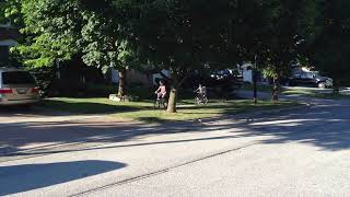 IMG 0246