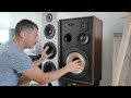 Un duel en famille elipson xls 15 vs p24f  le choix enceinte acoustique ou home cinema 