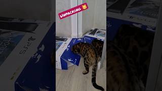 #bengalcat &amp; #ps5 #bestmoments #cat #funnymoments #best