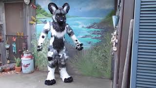 Fullsuit Upgrade - Silver African Wild Dog