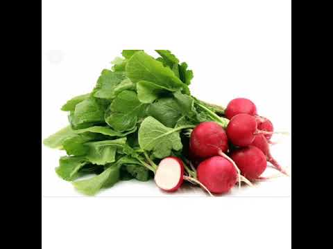 فجيلة    اكلة نباتية روعة سهلة وبسيطة  فجل زيت زيتون