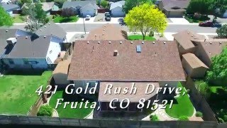 421 Gold Rush Drive, Fruita, CO 81521