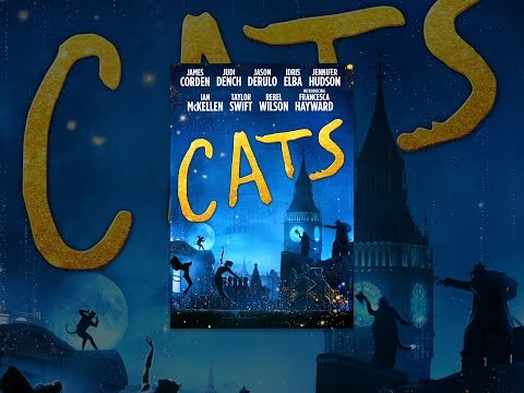 Video: Cats And Movies