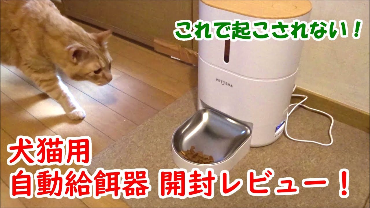 お値下げ自動給餌器 ペットフィーダー Petoneen Nutri Vision - 猫