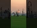 Souq waqif n mina port#qatar#qatarlife #catvideo #petshorts #shortsvideo