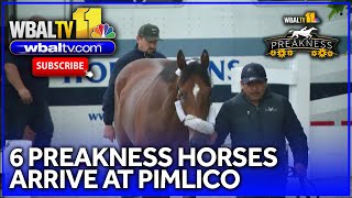 6 Preakness horses arrive at Pimlico in Baltimore