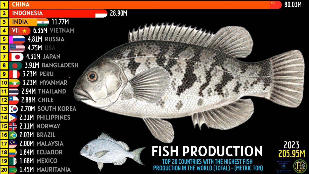 TOP 20 COUNTRIES WITH THE HIGHEST FISH PRODUCTION IN THE WORLD (TOTAL ...