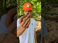 Crazy Smoky Herkimer Diamond рџ Ћ Crazy Smoky Herkimer Diamond рџ Ћ