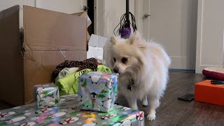 HUGE HAUL/OPENING EARLY GIFTS! VLOGMAS