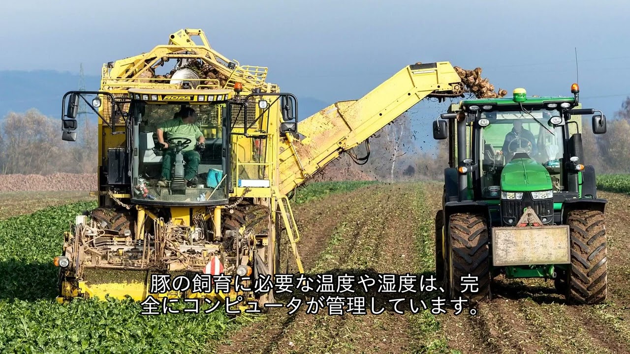 知らないと損する。中国農業が1年で激変。最新技術で養豚革命が起きている