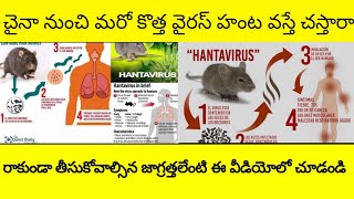 full details about hanta virus in Telugu | shocking facts about hanta virus on Telugu | hanta viruse