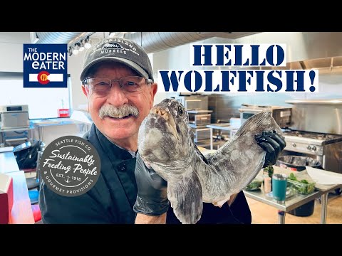 Top 5 Best Foods For Wolffish