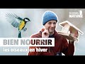 7 rgles dor pour nourrir les oiseaux en hiver no 369