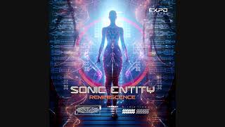 Sonic Entity - Reminiscence