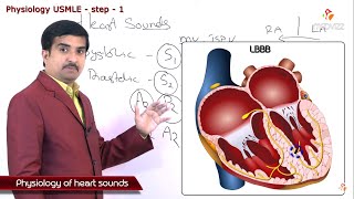 Physiology of Heart sounds made simple - USMLE Step 1