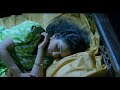 Mayilayi Parannu Vaa | S Janaki | Malayalam Video Song Mp3 Song