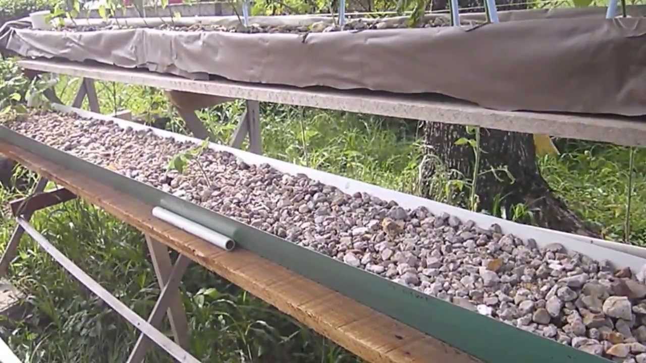Aquaponics Belize Grow beds trough - YouTube