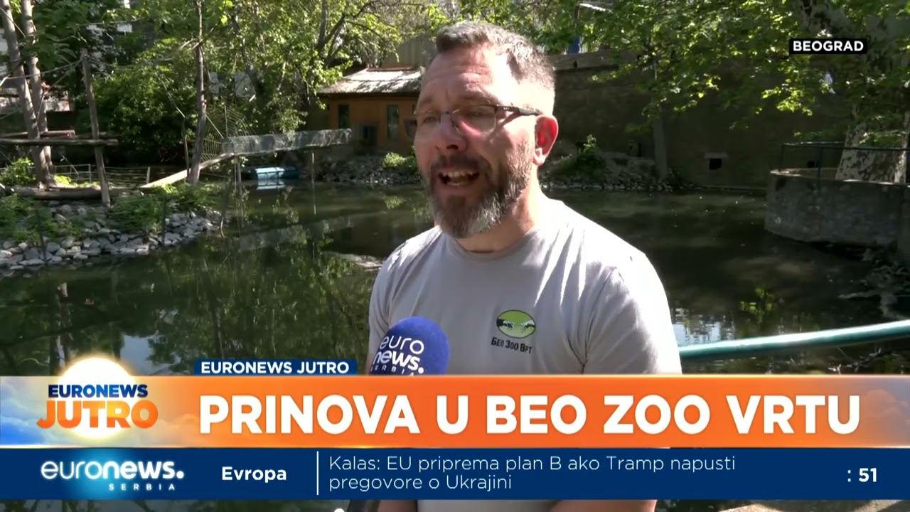 Prinova u zoološkom vrtu: Kako izgleda mladunče majmuna koje je s radošću iščekivano?