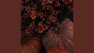 Fall of 2016