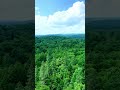 Barrie Canada! Beautiful Green Space - Nothing like getting away
