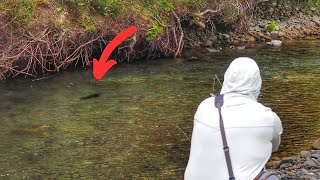 FLY FISHING For SUPER Spooky TROUT in CLEAR Water! 4K [New Zealand] by Trippin On Trout 16,289 views 1 year ago 18 minutes