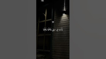 ماهر المعيقلي تلاوة خاشعة جميلة ارح سمعك 🤍