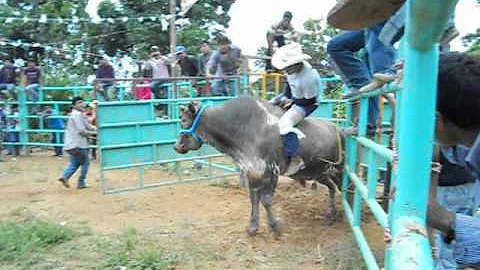 JARIPEO SANTA MARIA MATAMOROS MIXE OAXACA