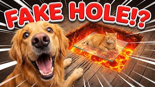 Cats Vs. Dogs Who Falls In The 3D Hole? Hilarious Reactions