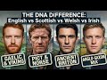 English, Scottish, Welsh, Irish: What DNA Actually Separates Them? Mp3 Song