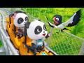 Little Bird Song | Learn Animals | ABC Song | Nursery Rhymes &amp; Kids Songs | BabyBus