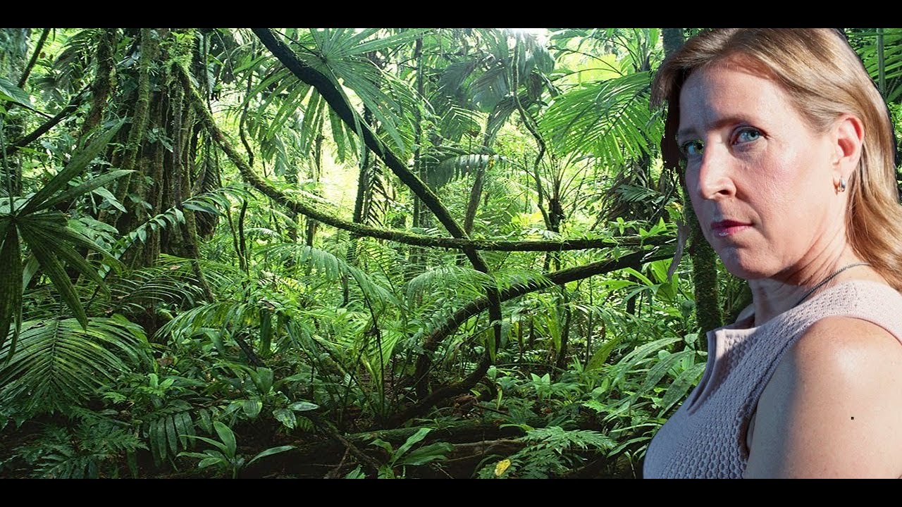 I'M PISSED: Youtube targets Keemstar, Tipster, and AugieRFC