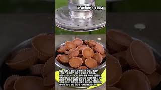 초콜릿과 스키틀즈 유압 프레스 압축 강도 테스트 #worker #process #hydraulicpress #chocolate #science