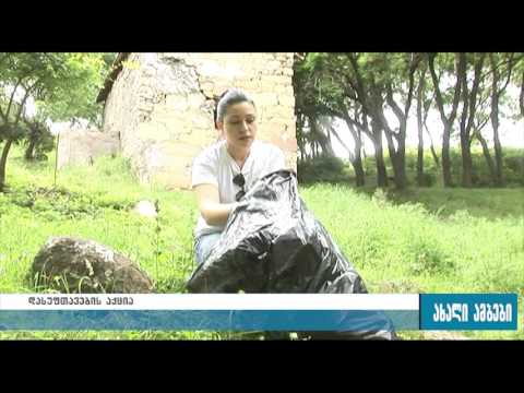 დასუფთავების აქცია გორში 20.06.2016