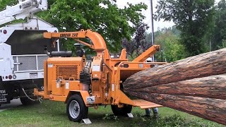 : Amazing Fastest Wood Chipper Machines Technology, Incredible Powerful Tree Shredder Machines Working
