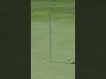 HOW UNLUCKY WAS THIS SHOT 😭 #golf #shorts