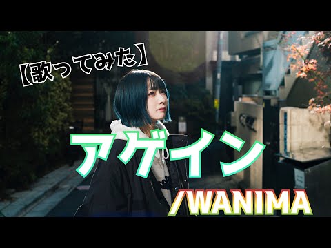 アゲイン/WANIMA【歌ってみた】【女性が歌う】明日クラゲに刺されたの【うたくら】