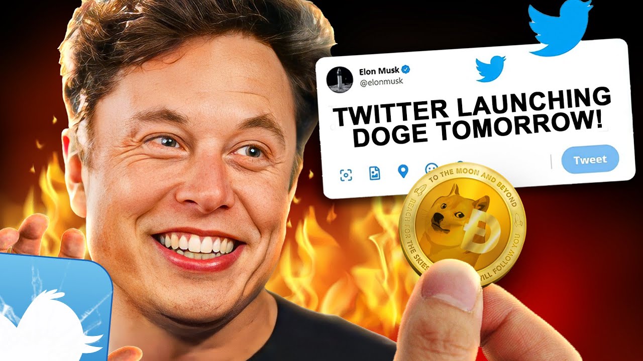 Elon Musk Just Launched Dogecoin On Twitter!