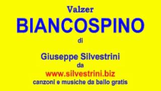 Video thumbnail of "Valzer - BIANCOSPINO - G.Silvestrini"