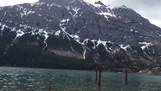 IMG 0368