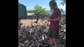 Me with pigeons