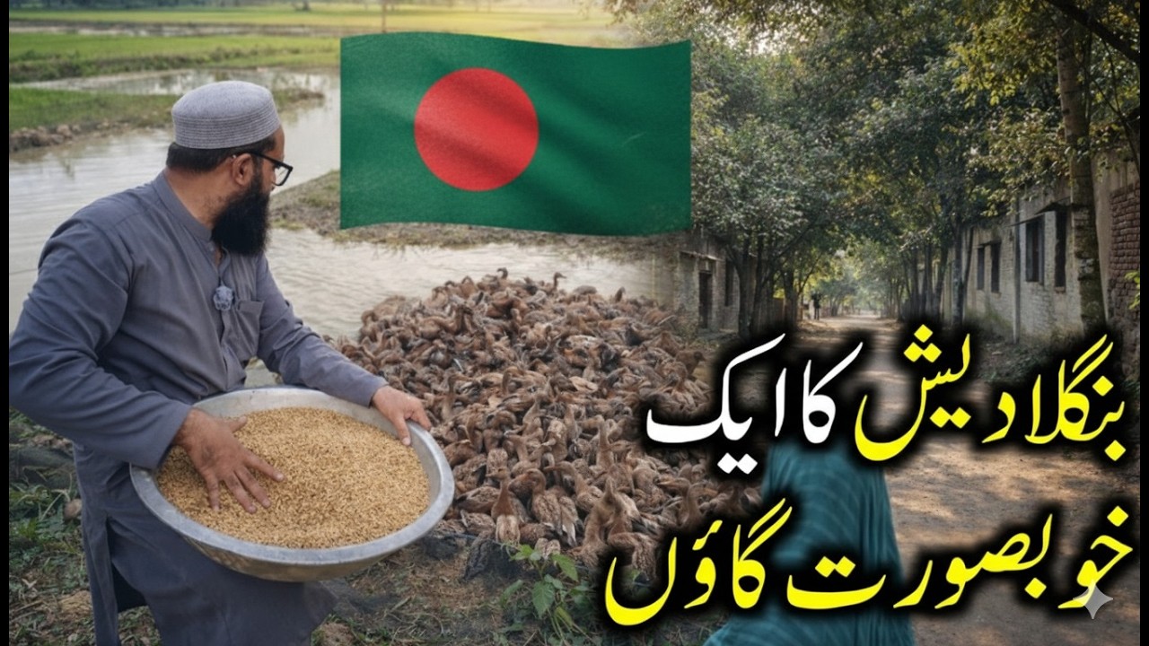 Netrokona || Bangladesh ka khobsoorat village 