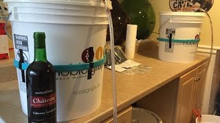 Winemaking, Primary Fermentation, Argentia Ridge.